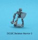 DI218C Skeleton Warrior #3