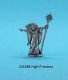 DI228B High Priestess