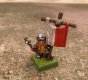 SOC Dwarf Warrior #11 2007