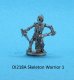 DI218A Skeleton Warrior #1