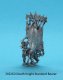 DI221D Death Knight Standard Bearer