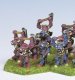 4206A Brothers of the Icelord (10)