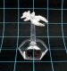 22205 Reaper Raider (6)