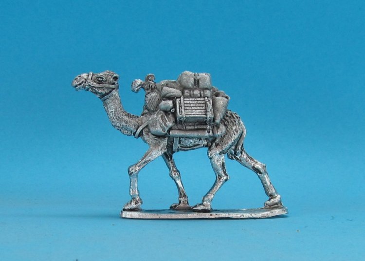 baggage camel