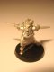 02-408c Female Orc Berserker
