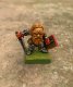 Dwarf Warrior #2 209a